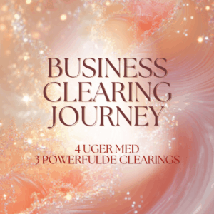 Business Clearing Journey (á 3 Clearings) - start 16. maj