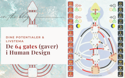 De 64 gates (gaver) i Human Design