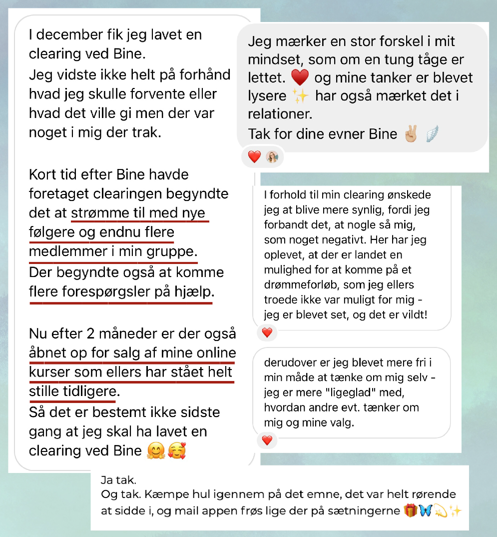 Skærmbillede 2025-02-11 kl. 10.13.27