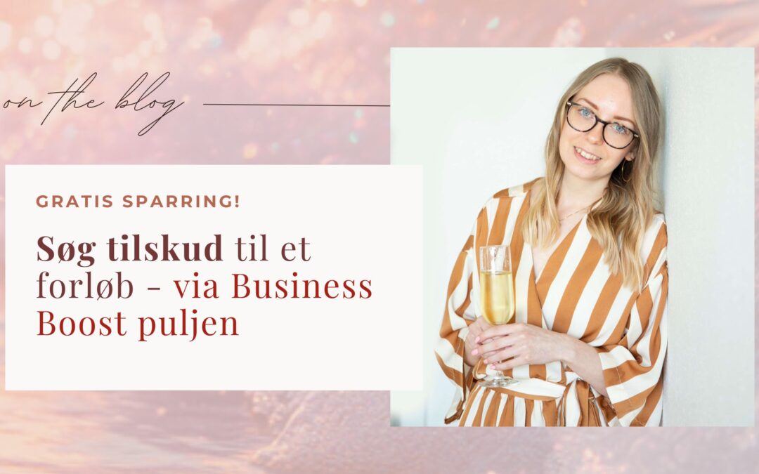 Søg om tilskud til et Human Design Business ved Business Boost puljen